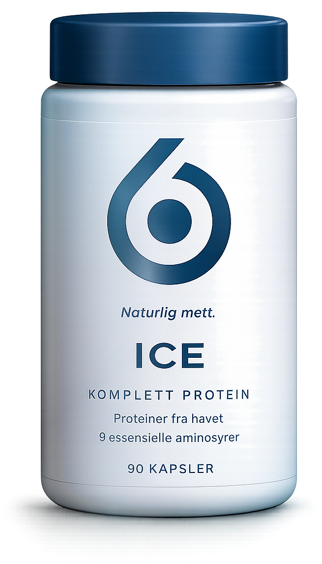6IX ICE — komplett protein